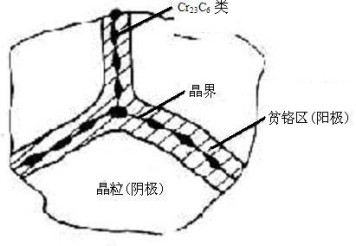 奥氏体不锈钢的晶间腐蚀及其试验方法